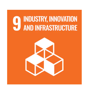 INDUSTRY, INNOVATION AND INFRASTRUCTURE