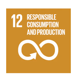 RESPONSIBLE CONSUMPTION AND PRODUCTION
